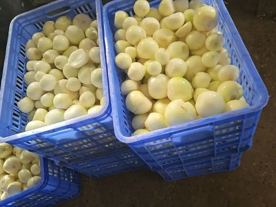 Сотрудничество по мытым и очищенным овощам