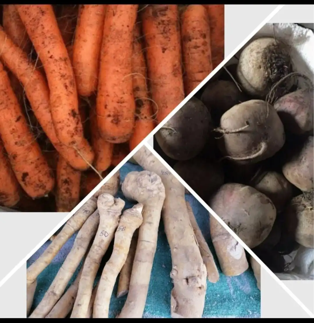 Овощи домашние с огорода в с. Мельниково