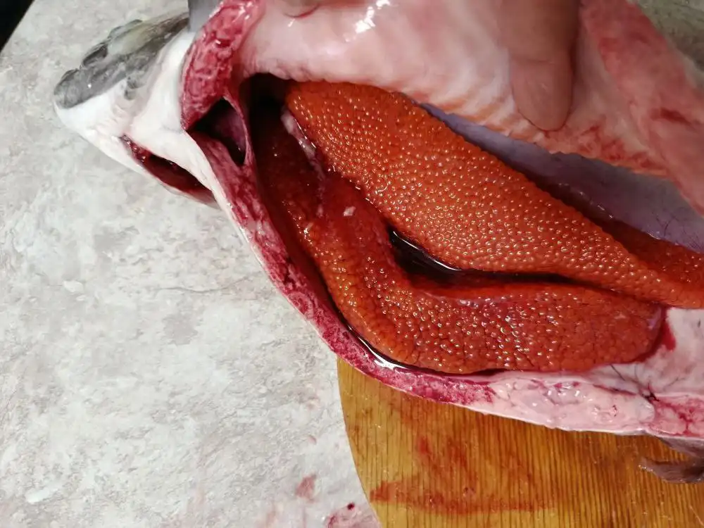 Продажа рыбы, икры, мандаринов, мант, пельменей, вареников, белых грибов и мороженого в Томске