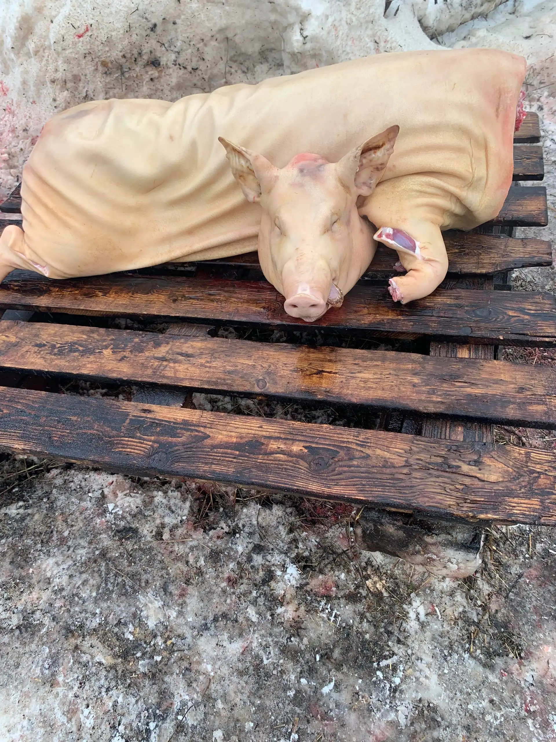 Продажа домашней свинины четвертями - Продукты питания (Барахолка) в Томск