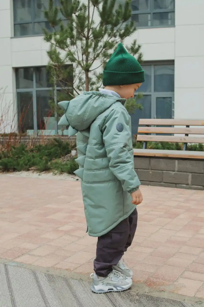 Демисезонная куртка Минидино - Детская одежда (Одежда) в Томск