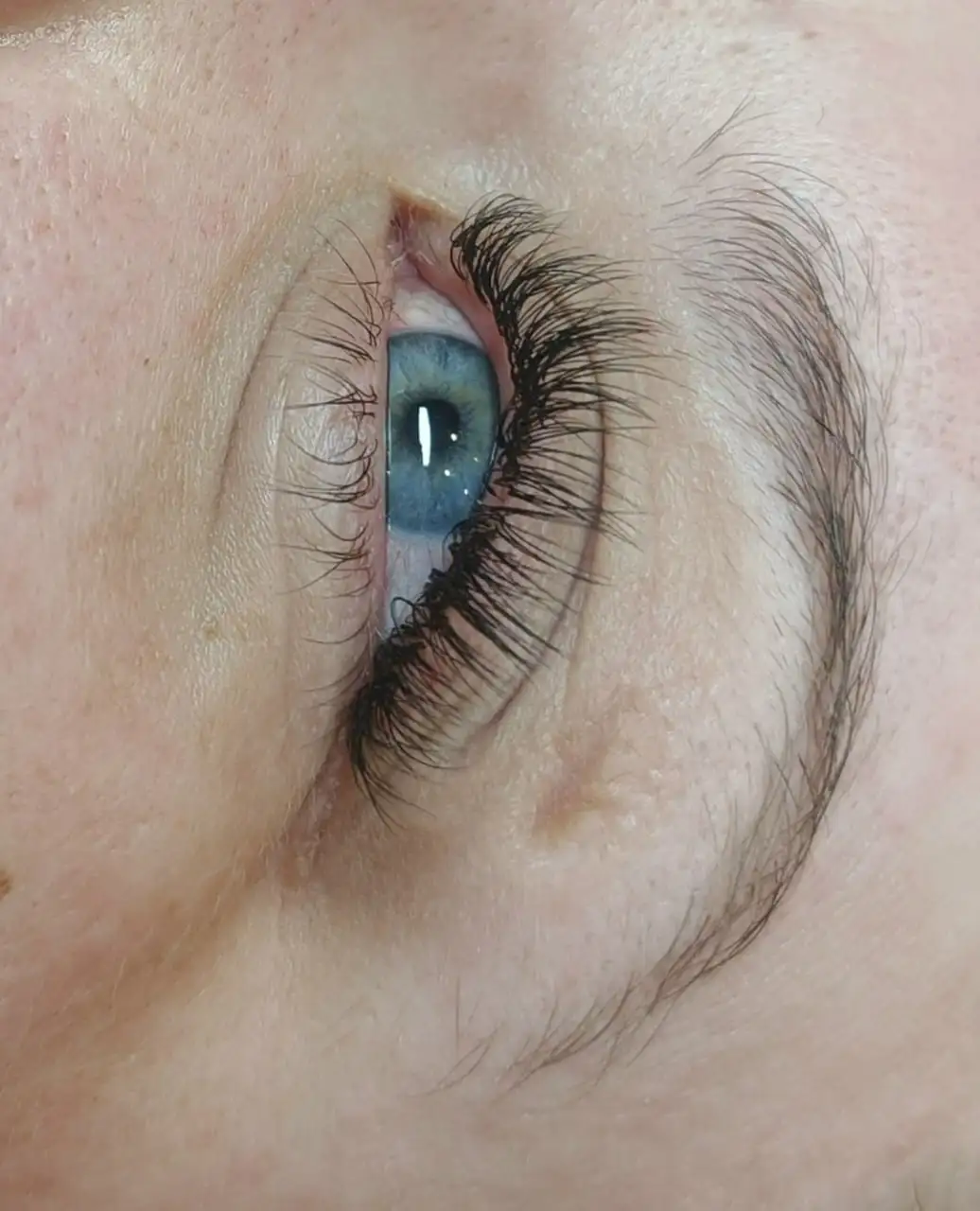 Наращивание ресниц в Томске - Красота (Услуги) в Томск