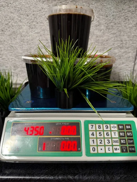 Мед алтайский оптом - Барахолка в Томск