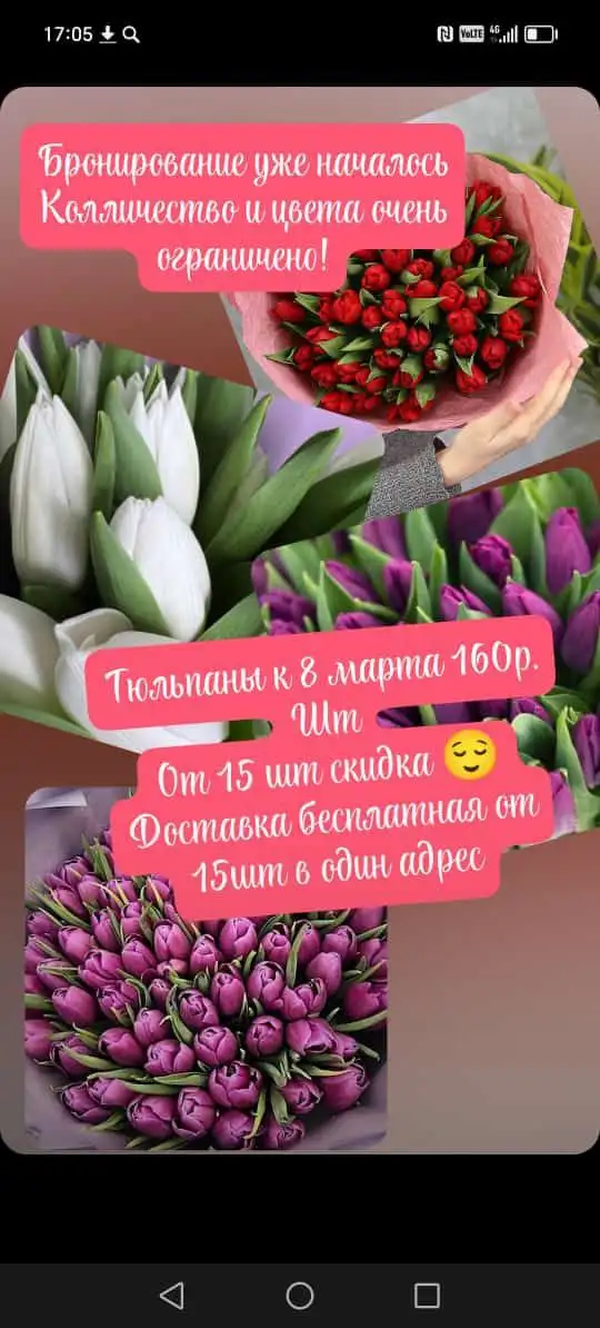 Бронирование тюльпанов - Цветы (Хобби и отдых) в Северск