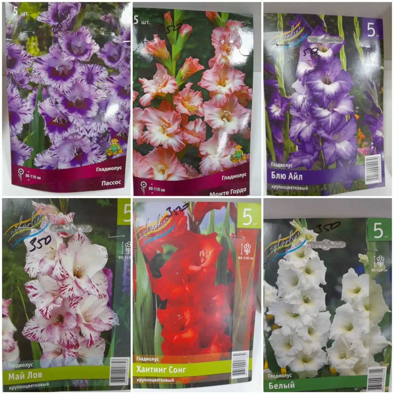 Многолетки - растения для сада - Растения (Хобби и отдых) в Томск