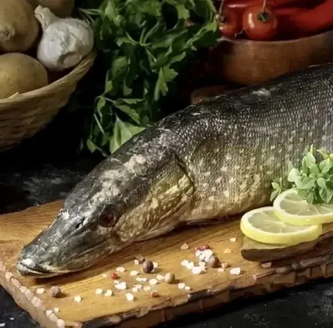 Щука фаршированная из Оби - Цветы и растения в Томск