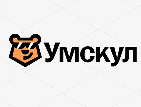 Продажа материалов для подготовки к ЕГЭ от Умскул 2025 - Настольные игры в Томск