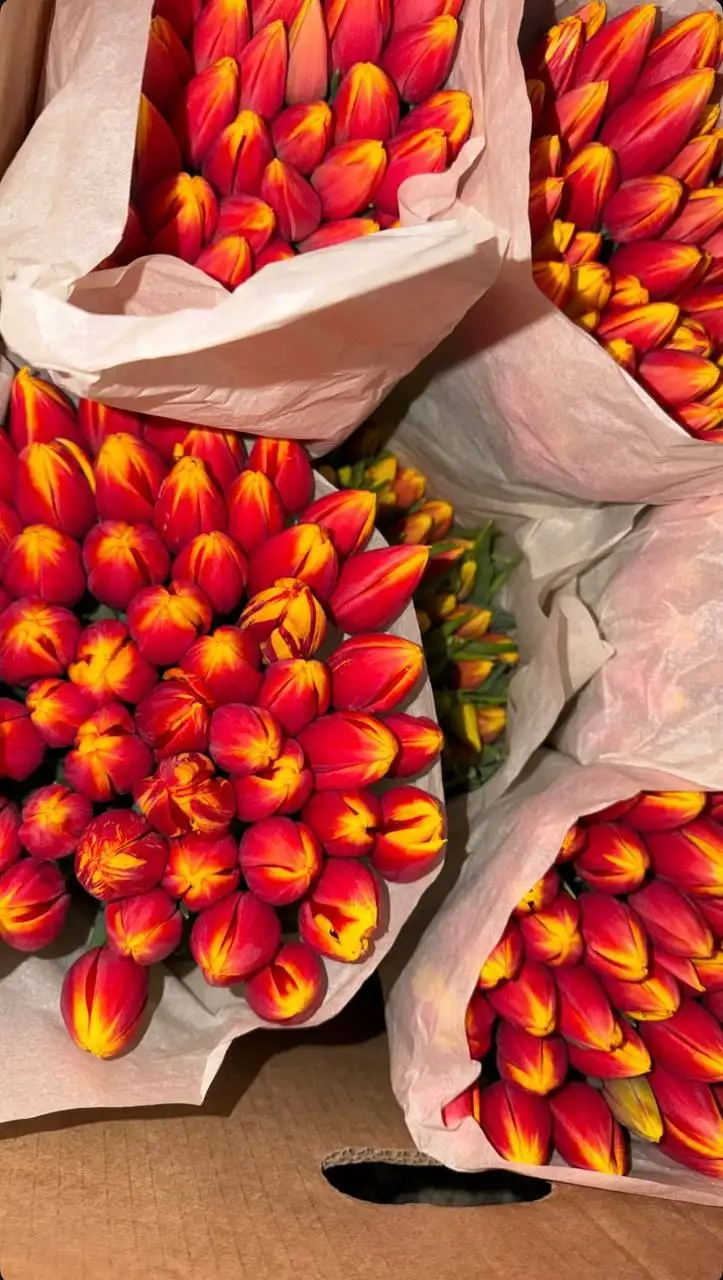 Предзаказ букетов к 8 марта - Услуги в Томск