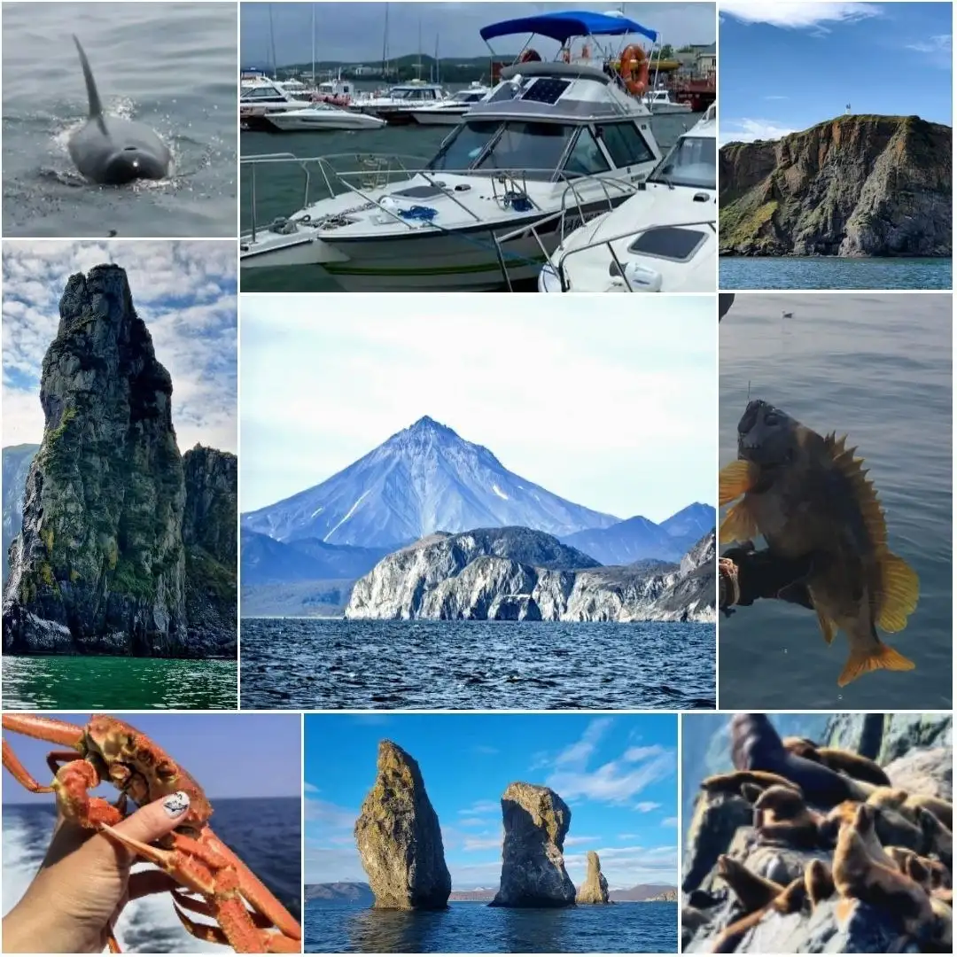 Морские прогулки по Камчатскому побережью - Туристические услуги (Услуги) в Томск