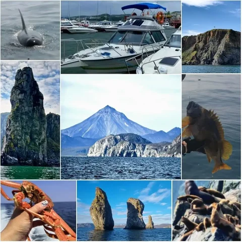 Морские прогулки по Камчатскому побережью - Туристические услуги в Томск