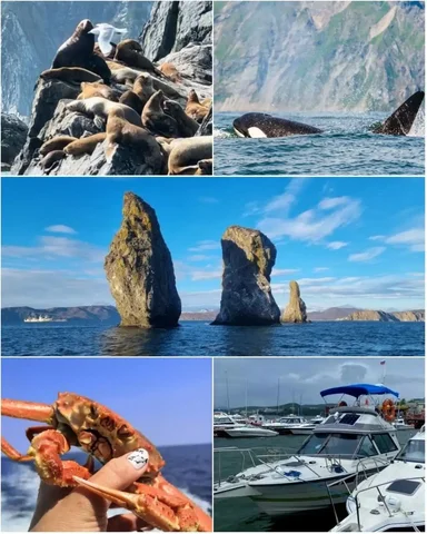 Морские прогулки на Камчатке: рыбалка, крабы, дикая природа - Изготовление зеркал в Томск