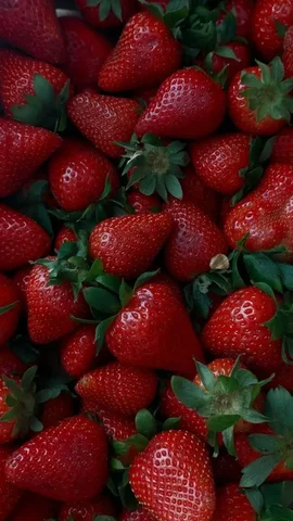 Клубника свежая ягодный сезон - Массажное оборудование в Томск