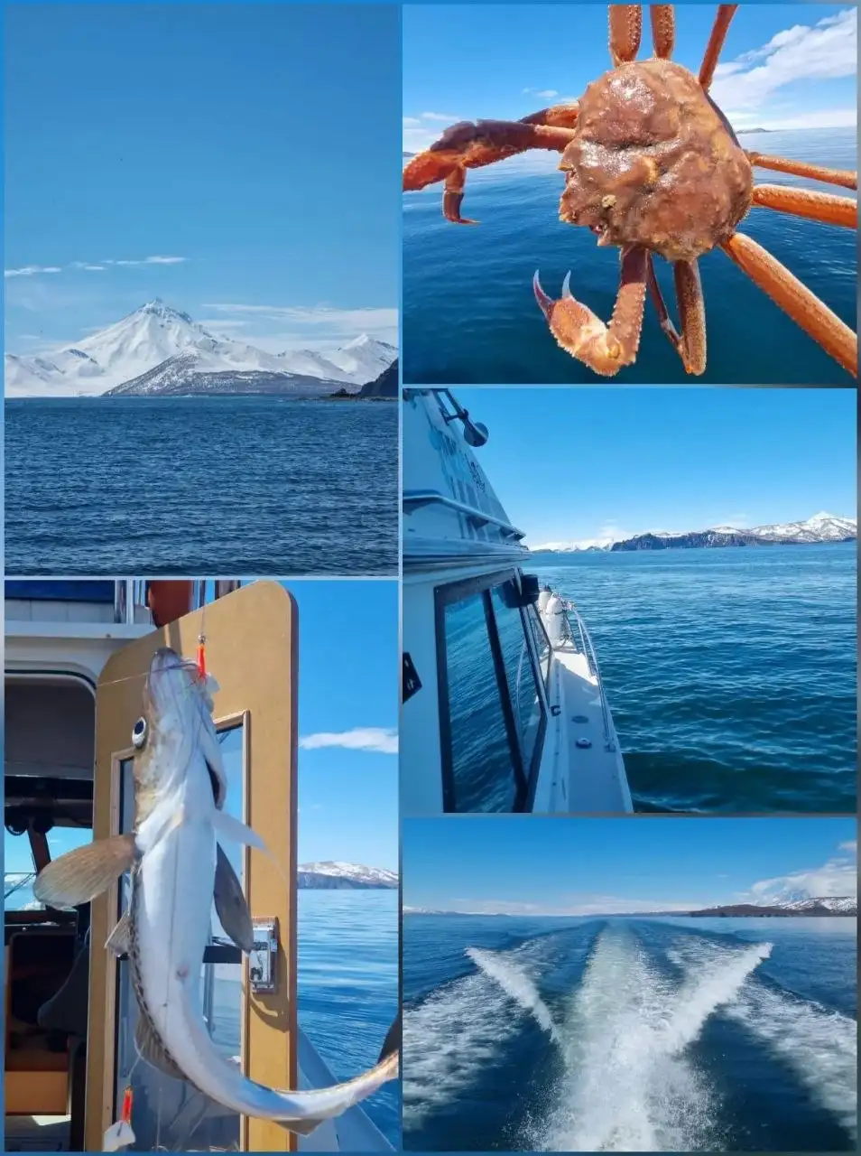 Морские прогулки на Камчатке - Морские прогулки (Услуги) в Томск