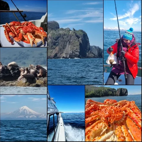 Морские прогулки на Камчатке - Сувениры в Томск