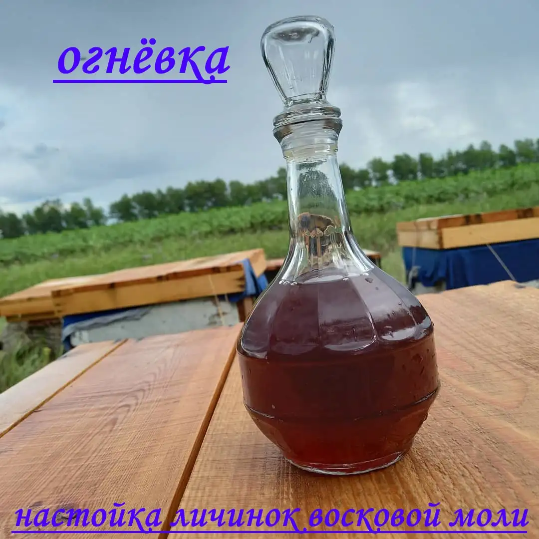 Продажа алтайского меда и свечей  - Продукты питания (Хобби и отдых) в Томск