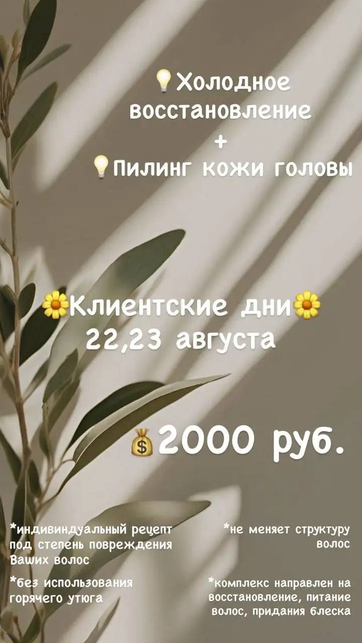 Клиентские дни: уход за волосами и диагностика кожи головы - Красота и здоровье (Услуги) в Томск