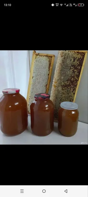 Продажа натурального мёда, сот, прополиса - Телефоны в Томск
