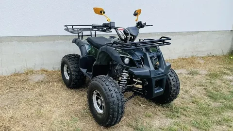 Б/У Квадроцикл Forte AFC 250 PRO - Пневмоподвеска в Томск