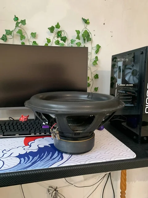 Мачете файт 15р с катушкой после рекона - Автозвук в Новосибирск