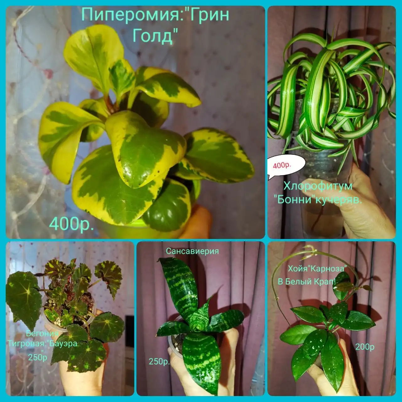 Продажа в Сургуте на Университетской 11 - Недвижимость в Сургут