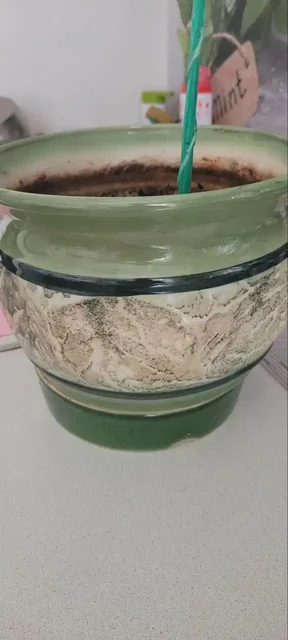 Горшок керамический 4,7 л - Постельное белье в Сургут