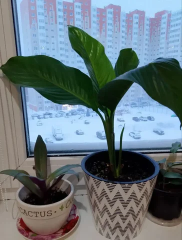 Продам с горшком - Детские товары в Сургут