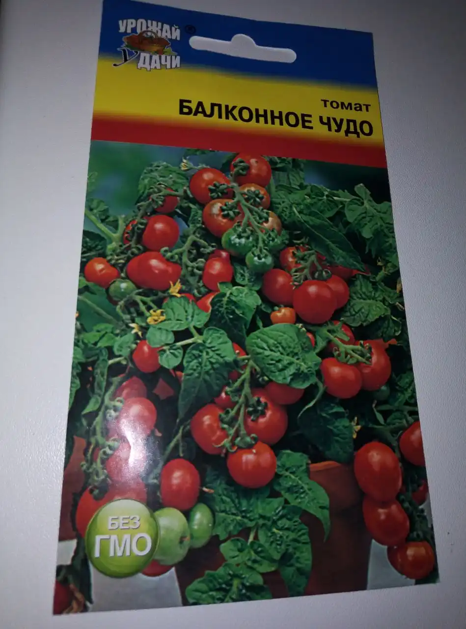 Семена комнатных и балконных растений - Садоводство (Хобби и отдых) в Нижневартовск
