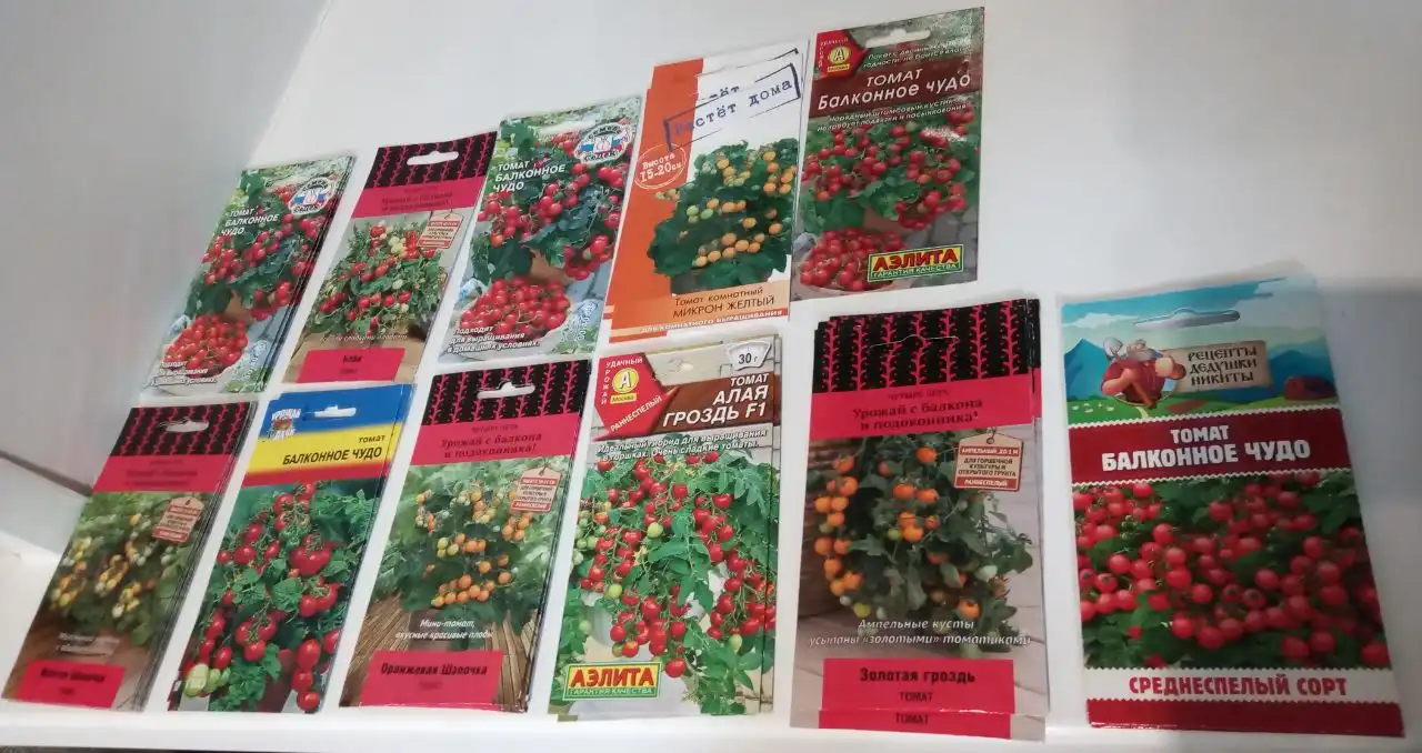 Семена комнатных и балконных растений - Садоводство (Хобби и отдых) в Нижневартовск