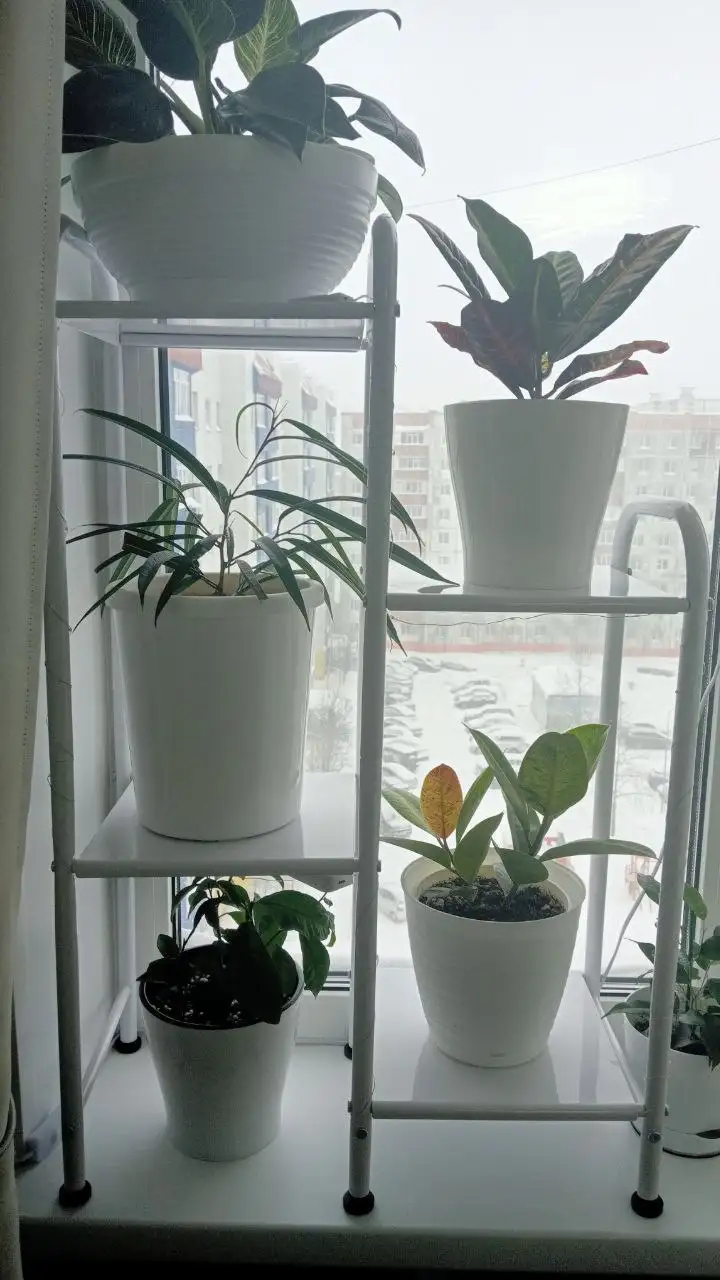 Полки для цветов 2 шт - Полки (Для дома и дачи) в Сургут