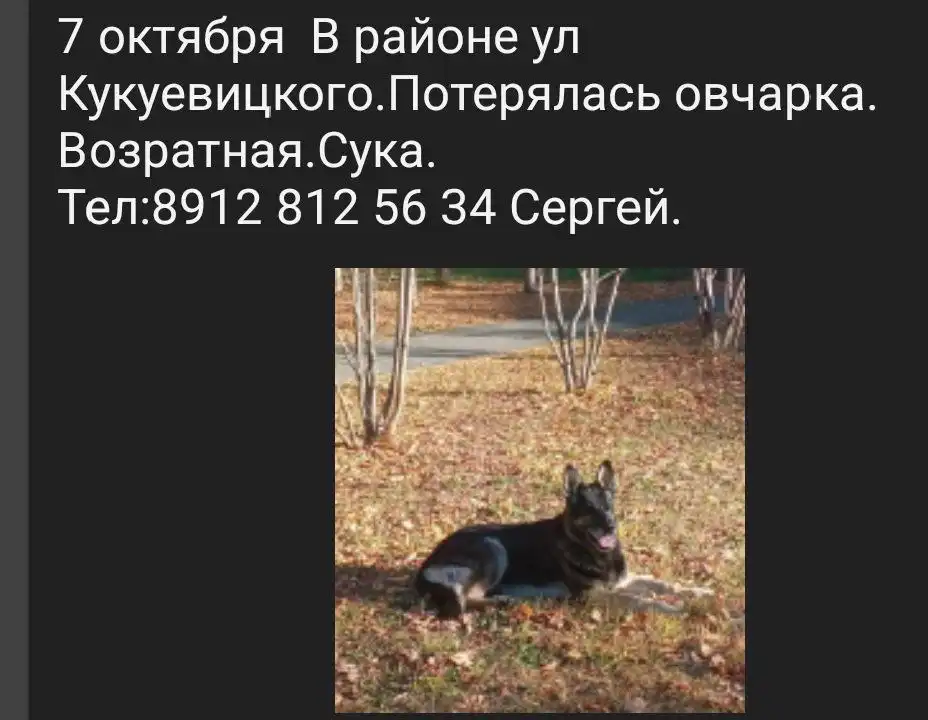 Продажа автомобиля