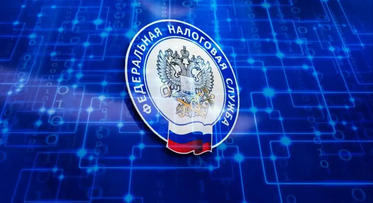 Требуется сотрудник ФНС для проверки цепей на расхождения веток НДС