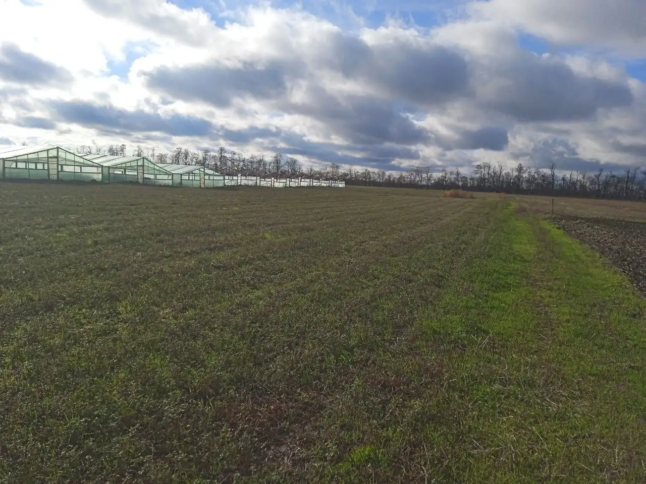 Продажа промышленно-производственной площадки 250 соток в Динском районе - Недвижимость в Динской район