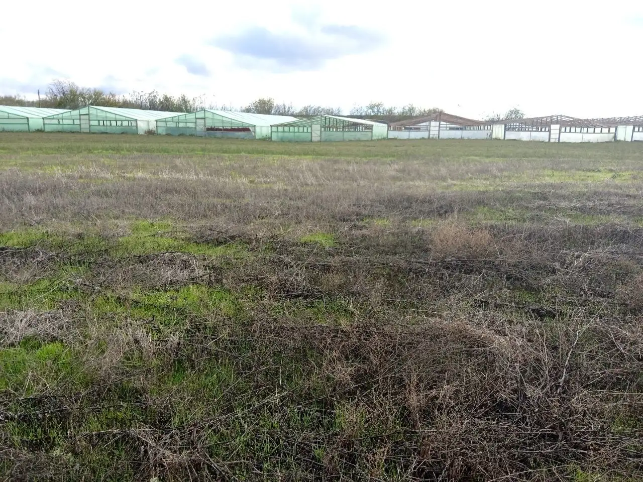 Продажа земельного участка промышленного назначения 2,5 га в с. Первореченское - Земля (Недвижимость) в с. Первореченское