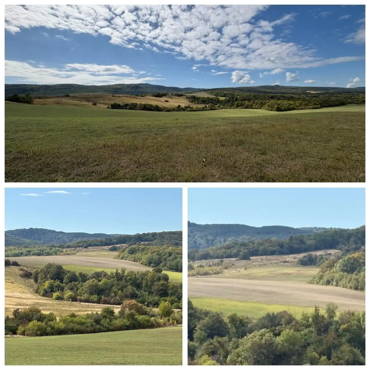 Земельные участки сельскохозяйственного назначения в Республике Адыгея