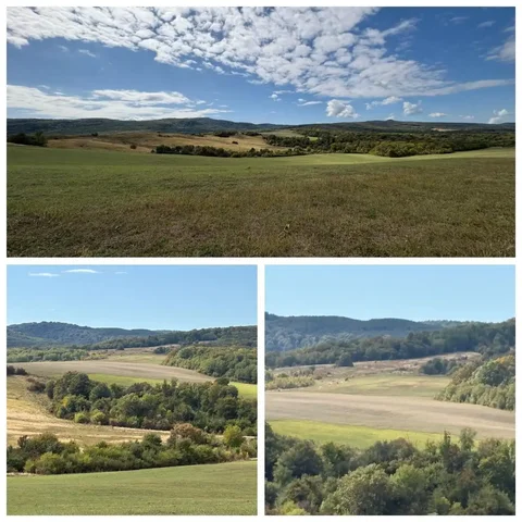 Земельные участки сельскохозяйственного назначения в Республике Адыгея - частное объявление в Майкоп