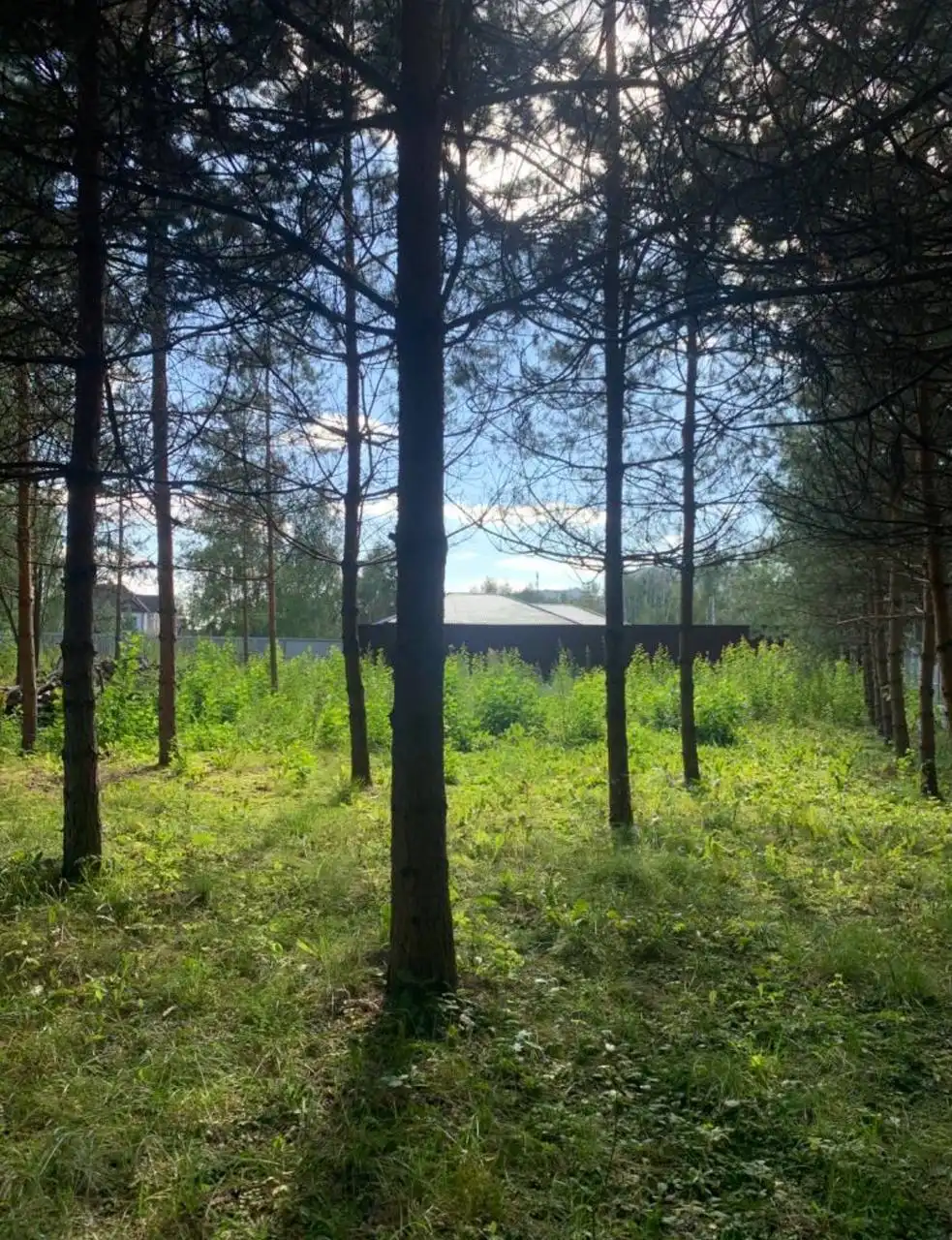 Участок ИЖС 22 сотки на первой линии в Чехове