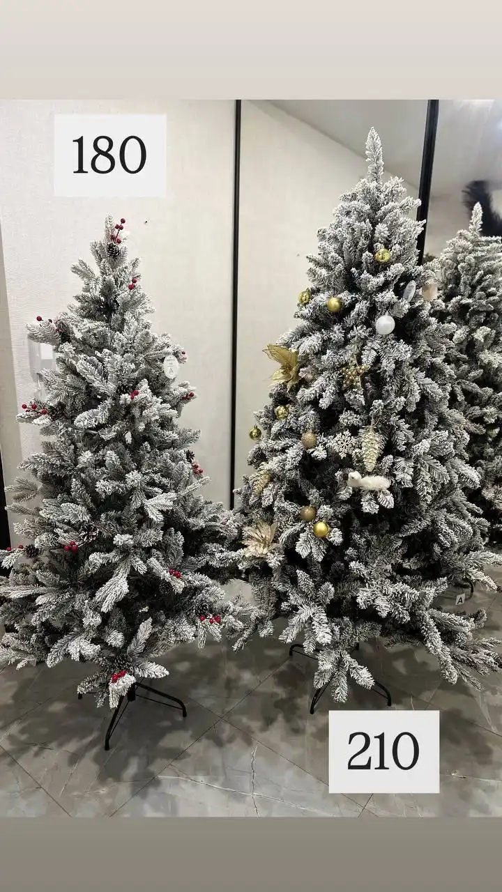 Продажа новогодних ёлочек