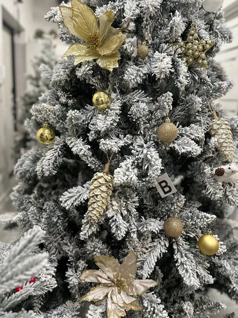 Продажа новогодних ёлочек