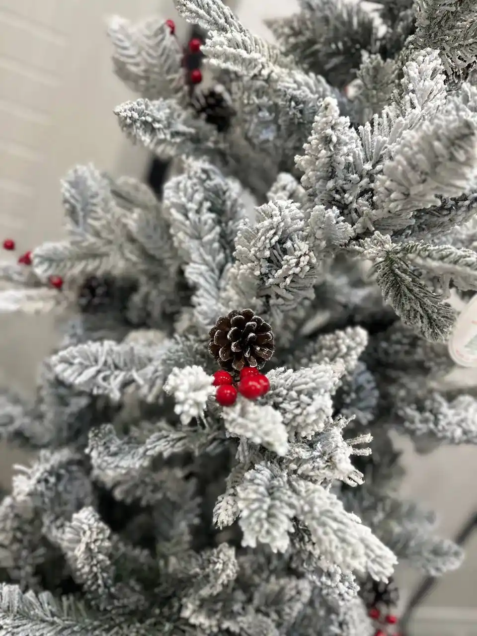 Продажа новогодних ёлочек