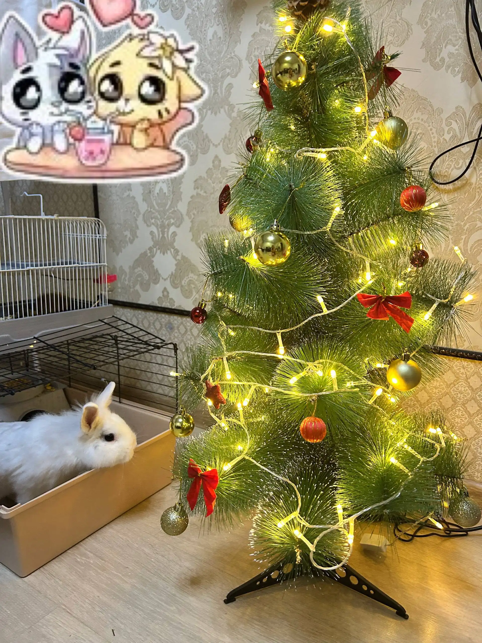 Продам декоративного кролика с аксессуарами