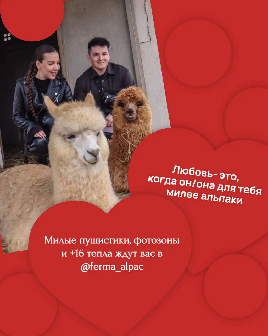 Подборка мест и идей на 14 февраля в Краснодаре - Свидания/Романтические встречи (Хобби и отдых) в Краснодар