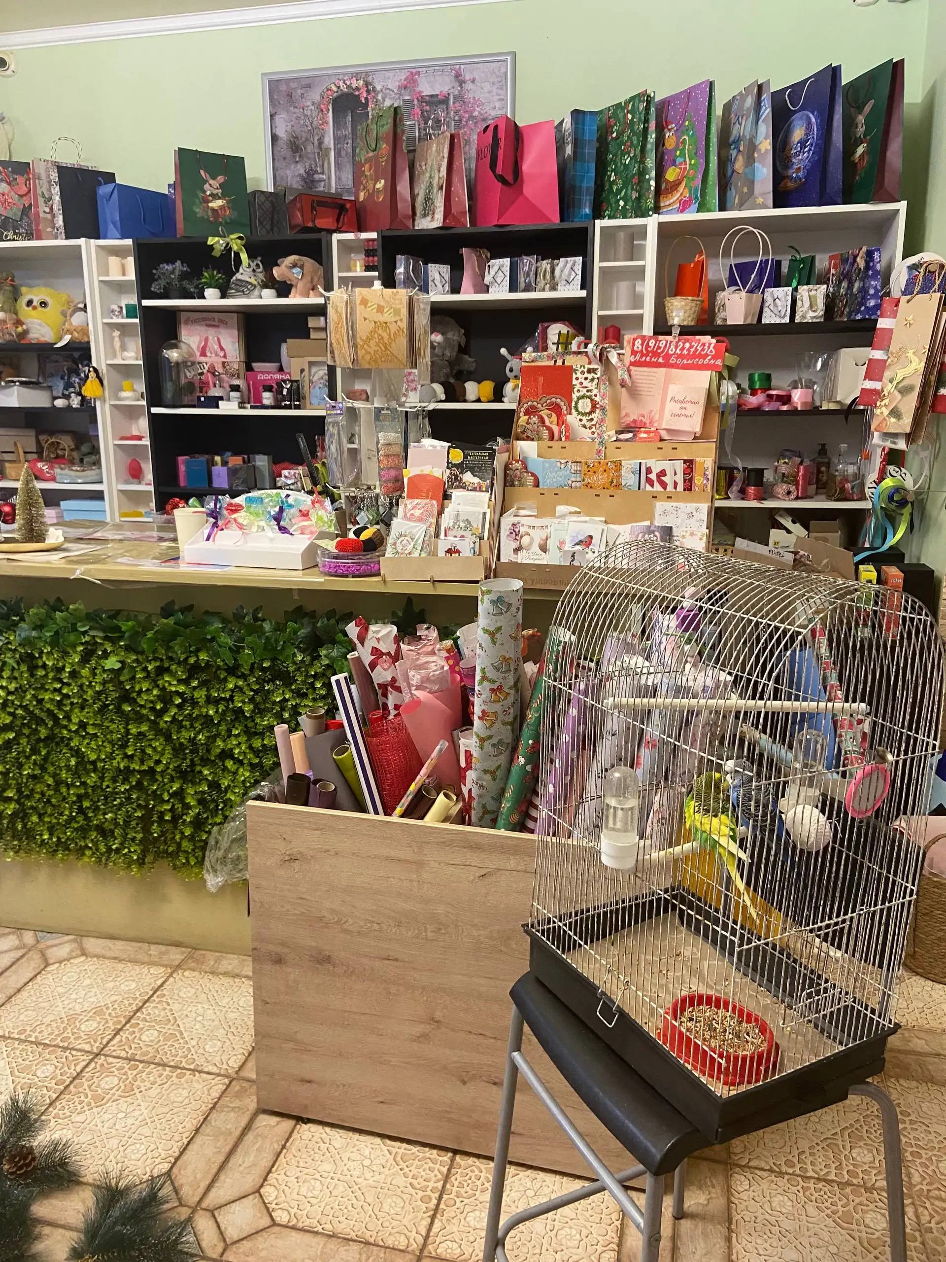 Продажа готового цветочного магазина - Магазин (Готовый бизнес и оборудование) в Краснодар