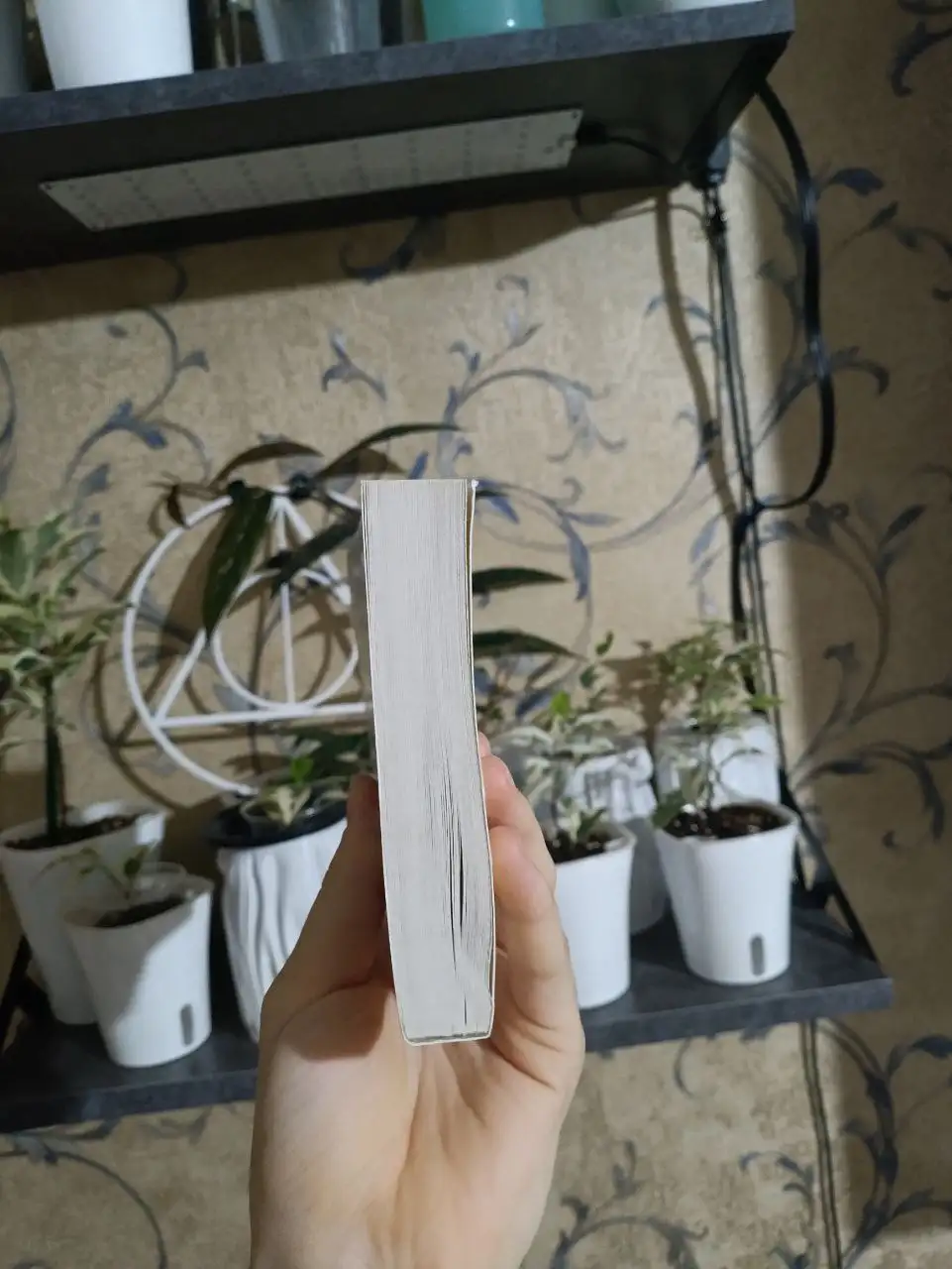 Книга "Если все кошки в мире исчезнут" Гэнки Кавамура - Книги (Барахолка) в Краснодар