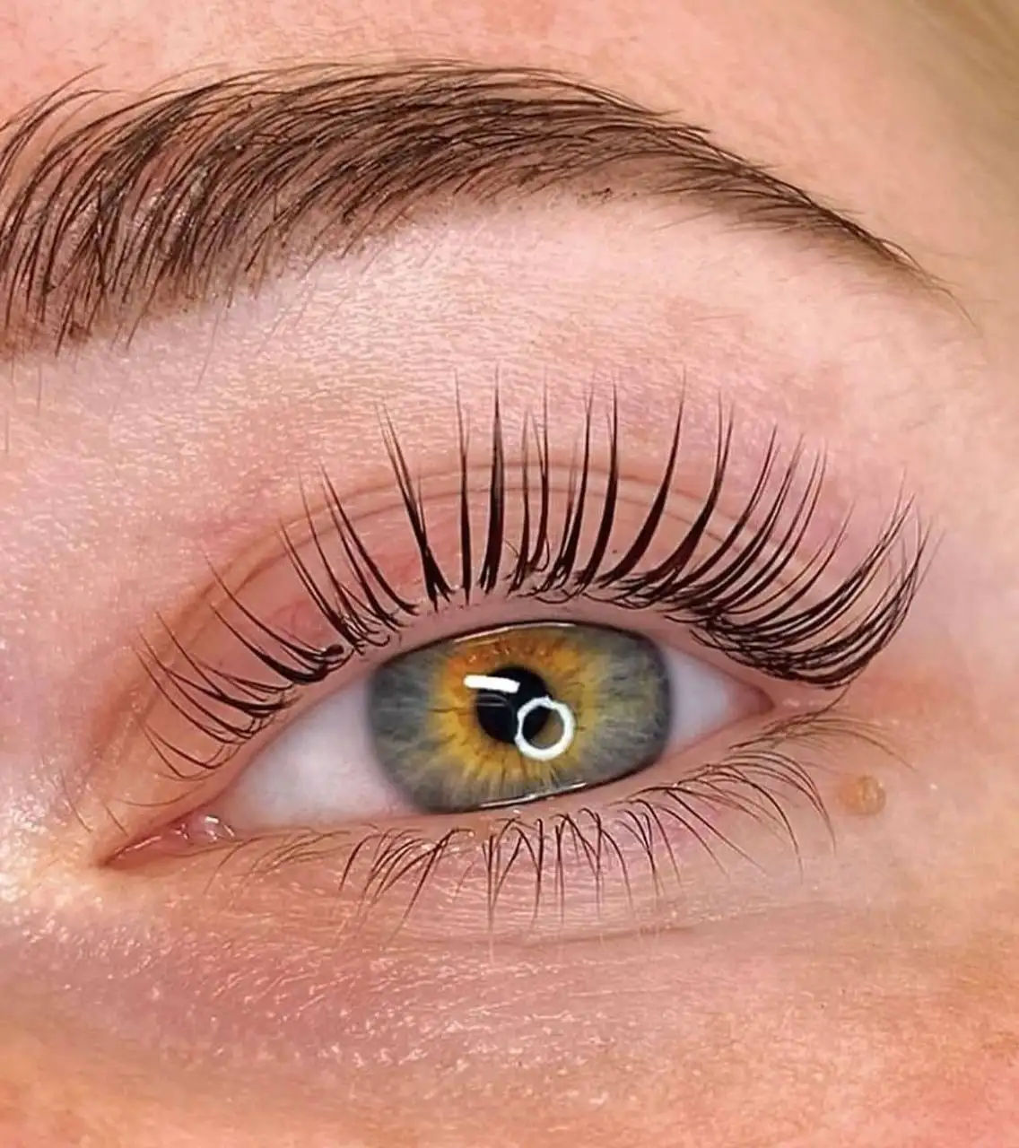 Ламинирование ресниц и бровей с обучением - Красота (Услуги) в Краснодар