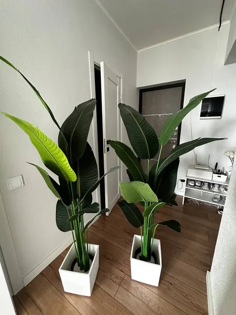 Искусственная пальма и стрелиция в кашпо 160 см - Водонагреватели в Краснодар