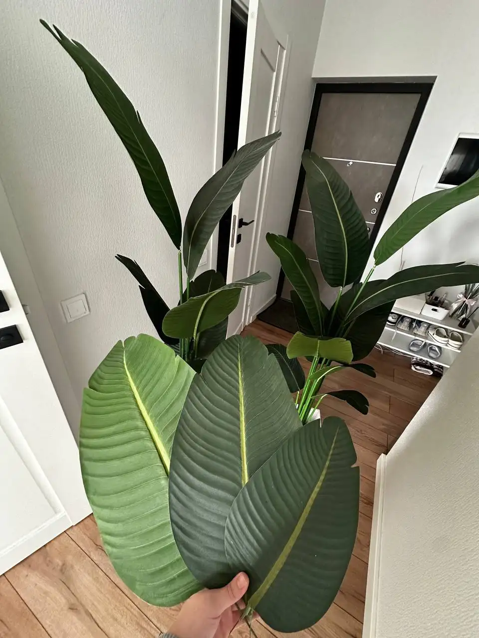 Искусственная пальма и стрелиция в кашпо 160 см - Комнатные растения (Для дома и дачи) в Краснодар