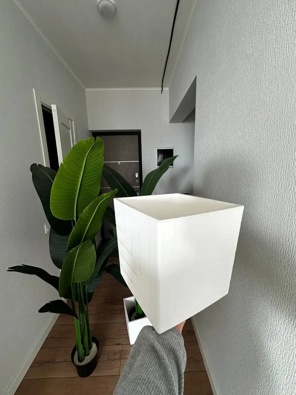 Искусственная пальма и стрелиция в кашпо 160 см - Комнатные растения (Для дома и дачи) в Краснодар