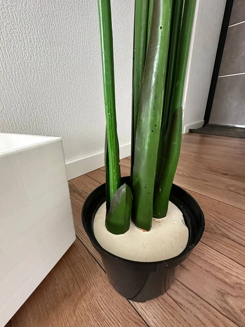 Искусственная пальма и стрелиция в кашпо 160 см - Комнатные растения (Для дома и дачи) в Краснодар