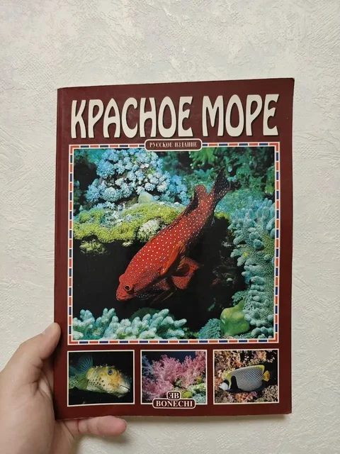 Книга «Красное Море» (Bonechi) - Рукоделие в Краснодар