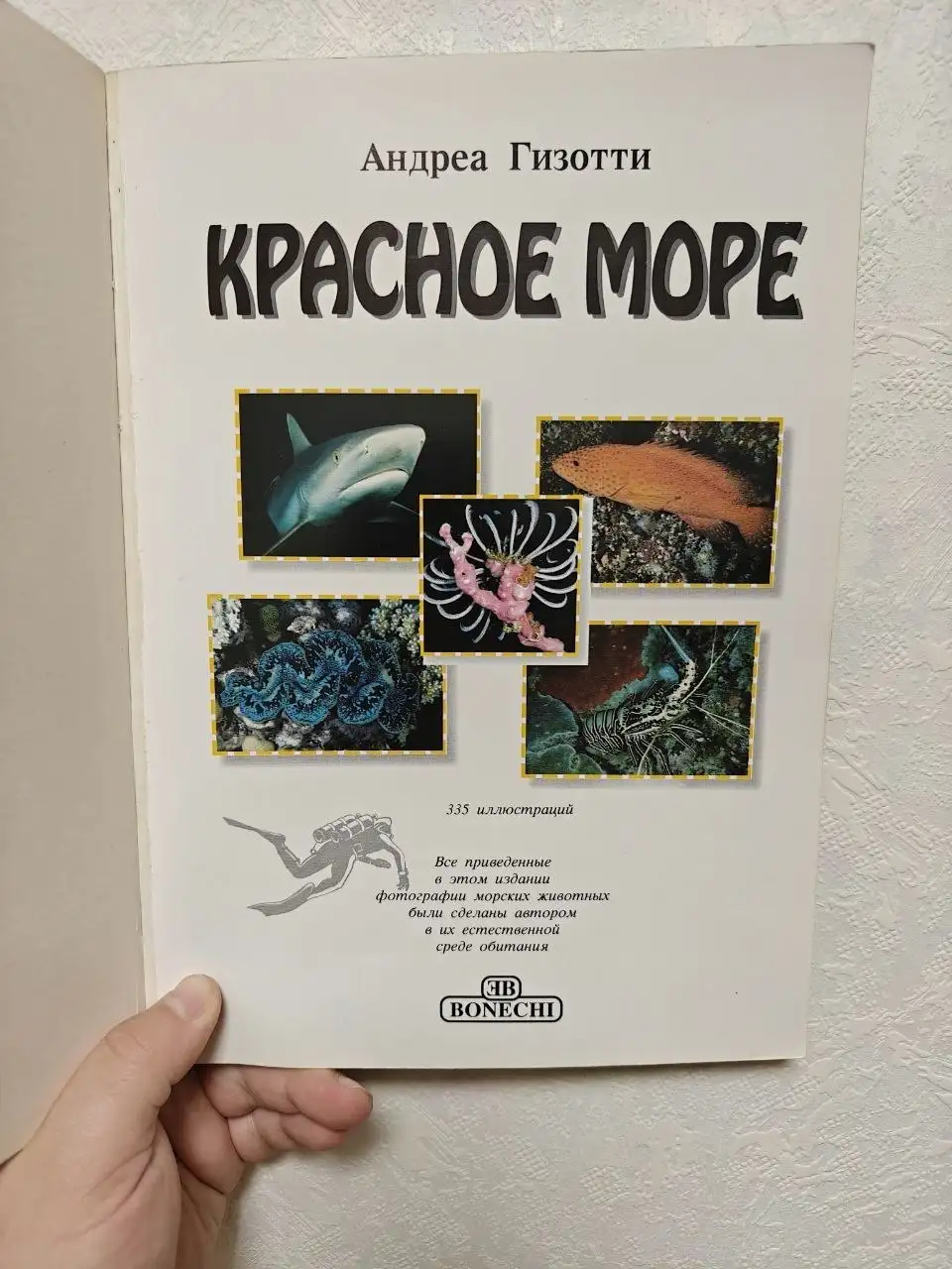 Книга «Красное Море» (Bonechi) - Книги (Хобби и отдых) в Краснодар